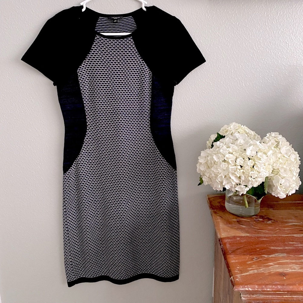 Artsy Petite Formal Ann Taylor Dress
